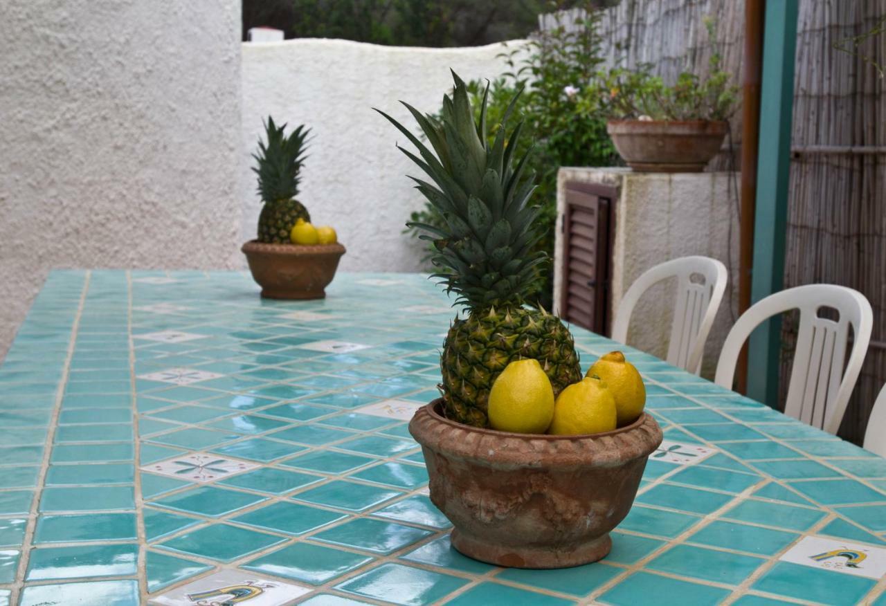 Jungle House - Pineta Is Morus Villa Santa Margherita di Pula Exterior photo